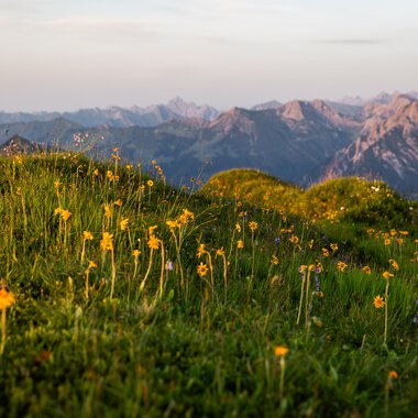© Kleinwalsertal Tourismus eGen • Fotograf: Erika Dürr