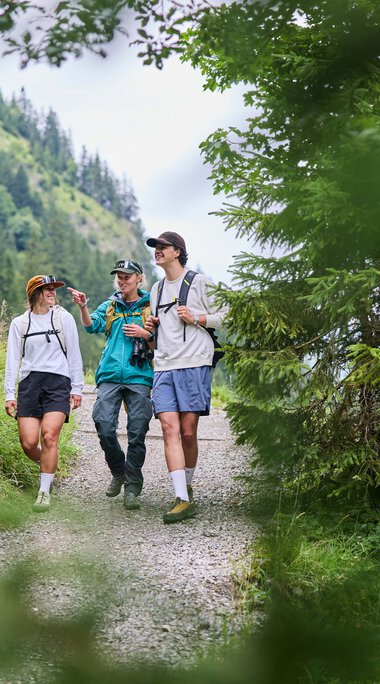 Drei Wanderer gehen auf einem Pfad durch eine grüne, bewaldete Landschaft im Kleinwalsertal. | © Kleinwalsertal Tourismus eGen • Fotograf: Oliver Farys