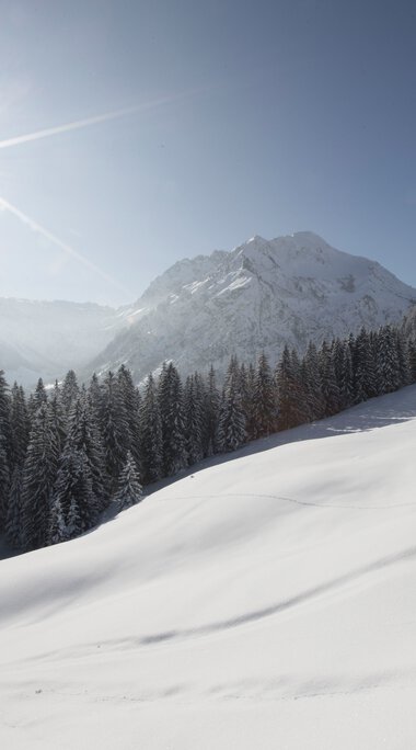 Winterlandschaft mit schneebedeckten Bäumen und Bergen bei Sonnenschein auf dem Walmendingerhorn. | © Kleinwalsertal Tourismus eGen • Fotograf: Oliver Farys