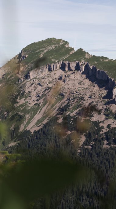 Berglandschaft mit schroffen Felsen, grün bewaldet, im Vordergrund blühende Pflanzen, bei Sonnenaufgang aufgenommen, Wandern am Walmendingerhorn oder Ifen. | © Kleinwalsertal Tourismus eGen • Fotograf: Oliver Farys