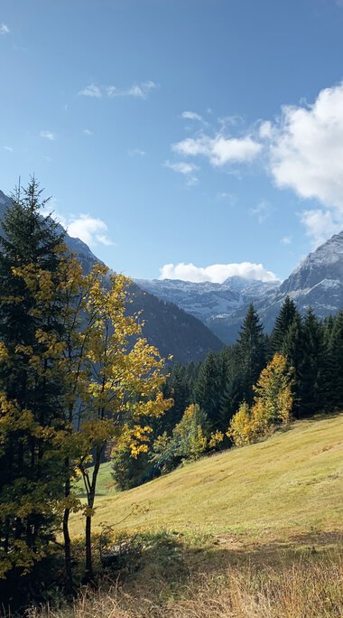 Berglandschaft mit Wäldern, Wiesen und Bergen unter einem blauen Himmel mit Wolken im Hintergrund. | © Kleinwalsertal Tourismus eGen