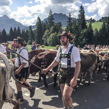 Menschen beim alpabtrieb mit Kühen in einer malerischen Berglandschaft, zahlreiche Teilnehmer in traditioneller Tracht. | © Kleinwalsertal Tourismus eGen